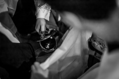 IMG_2445-2