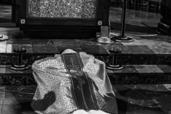 IMG_2817