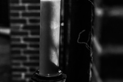 IMG_2844